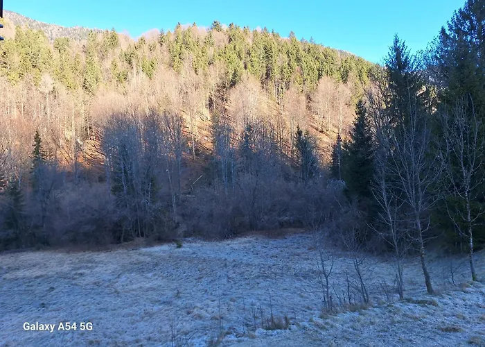 Apartma Aurora Apartment *